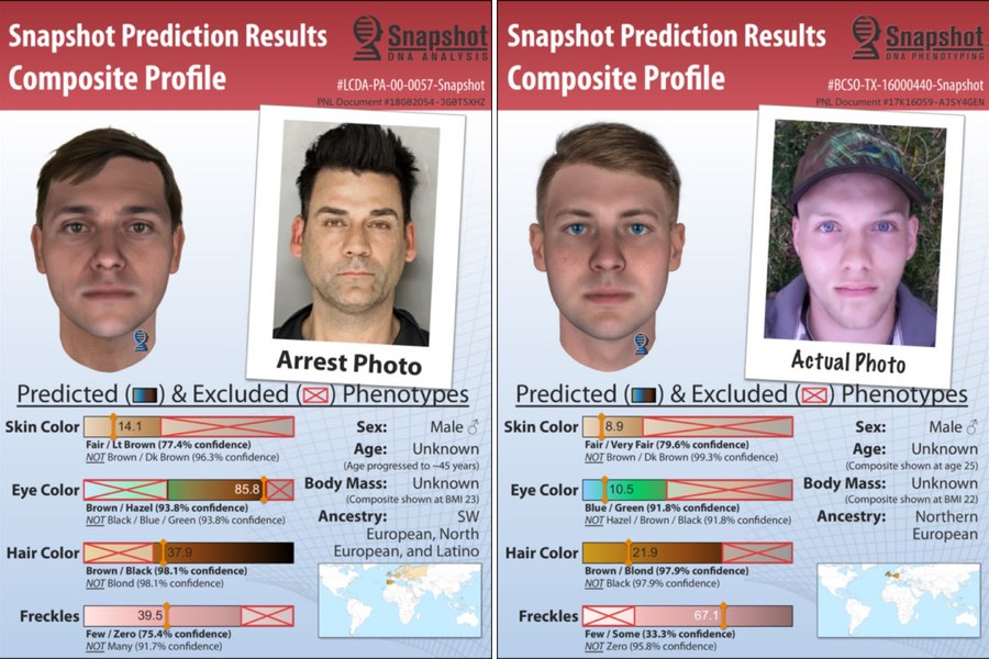 Portraits-robot ADN génétique police scientifique aide dans la résolution des enquêtes judiciaires. 