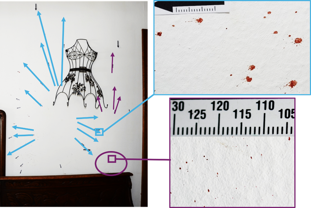 Morphoanalyse de traces de sang utilisée en police scientifique