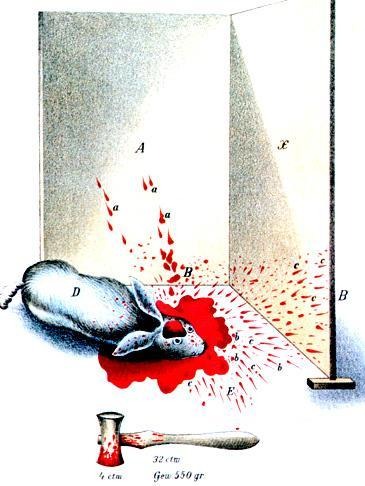 Morphoanalyse de traces de sang